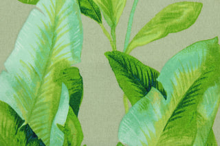 This Solarium outdoor decorative print features large banana leaves in shades of green and orange against a caramel background.  This versatile, long-lasting fabric can withstand up to 500 hours of sunlight, water and stain resistant and has 15,000 double rubs.  It is perfect for lounge cushions, pool furniture, tablecloths, decorative pillows and upholstery projects.  This fabric has a slightly stiff feel but is easy to work with.  