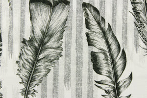 The ebony color features finely detailed feathers in black and gray on a dull white background.