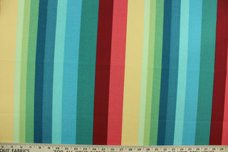 This multi use fabric features a heavy striped design in shades of green, blue, red and yellow.  It is perfect for outdoor settings or indoors in a sunny room.  It is stain and water resistant and can withstand up to 500 hours of direct sun exposure and has a durability rating of 10,000 double rubs.  Uses include decorative pillows, cushions, chair pads, tote bags and upholstery.