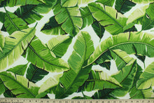 Load image into Gallery viewer, This screen printed fabric features tropical palm leaves set against a solid  background and is perfect for any project where the fabric will be exposed to the weather.  Able to resist stains and water, and has a rating of 10,000 double rubs, UV tested and can withstand 500 hours of direct sunlight  Uses include cushions, tablecloths, upholstery projects, decorative pillows and craft projects. This fabric has a slightly stiff feel but is easy to work with.  Colors include white, beige and shades of green.
