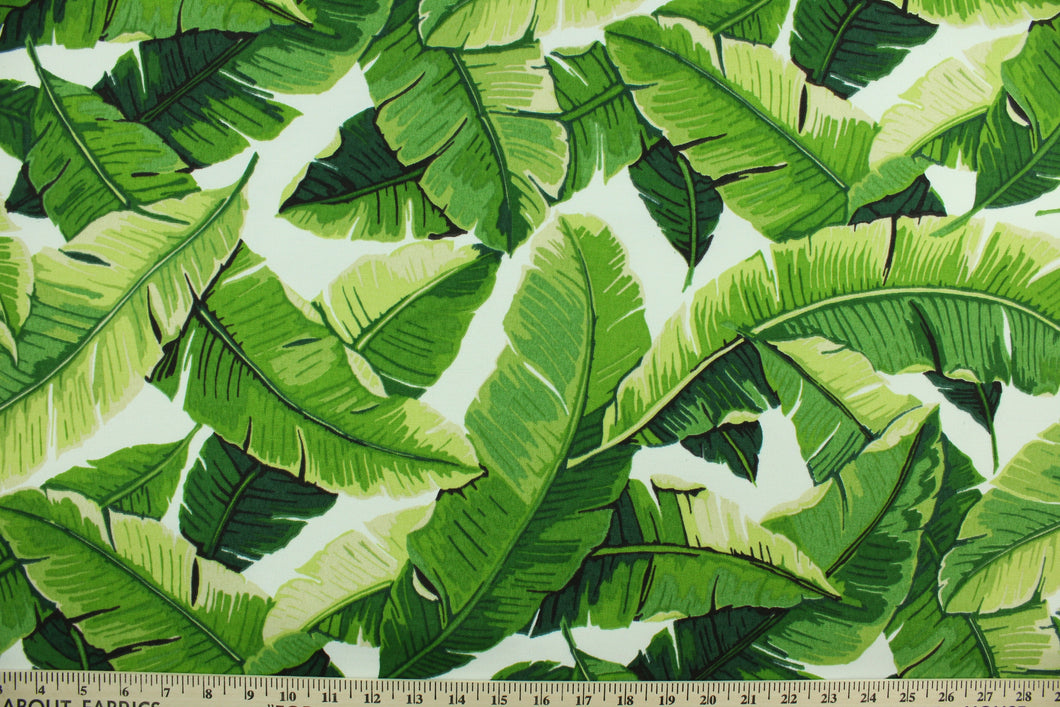 This screen printed fabric features tropical palm leaves set against a solid  background and is perfect for any project where the fabric will be exposed to the weather.  Able to resist stains and water, and has a rating of 10,000 double rubs, UV tested and can withstand 500 hours of direct sunlight  Uses include cushions, tablecloths, upholstery projects, decorative pillows and craft projects. This fabric has a slightly stiff feel but is easy to work with.  Colors include white, beige and shades of green.