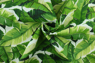 This screen printed fabric features tropical palm leaves set against a solid  background and is perfect for any project where the fabric will be exposed to the weather.  Able to resist stains and water, and has a rating of 10,000 double rubs, UV tested and can withstand 500 hours of direct sunlight  Uses include cushions, tablecloths, upholstery projects, decorative pillows and craft projects. This fabric has a slightly stiff feel but is easy to work with.  Colors include white, beige and shades of green.