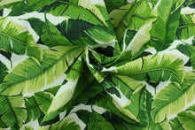 Load image into Gallery viewer, This screen printed fabric features tropical palm leaves set against a solid  background and is perfect for any project where the fabric will be exposed to the weather.  Able to resist stains and water, and has a rating of 10,000 double rubs, UV tested and can withstand 500 hours of direct sunlight  Uses include cushions, tablecloths, upholstery projects, decorative pillows and craft projects. This fabric has a slightly stiff feel but is easy to work with.  Colors include white, beige and shades of green.
