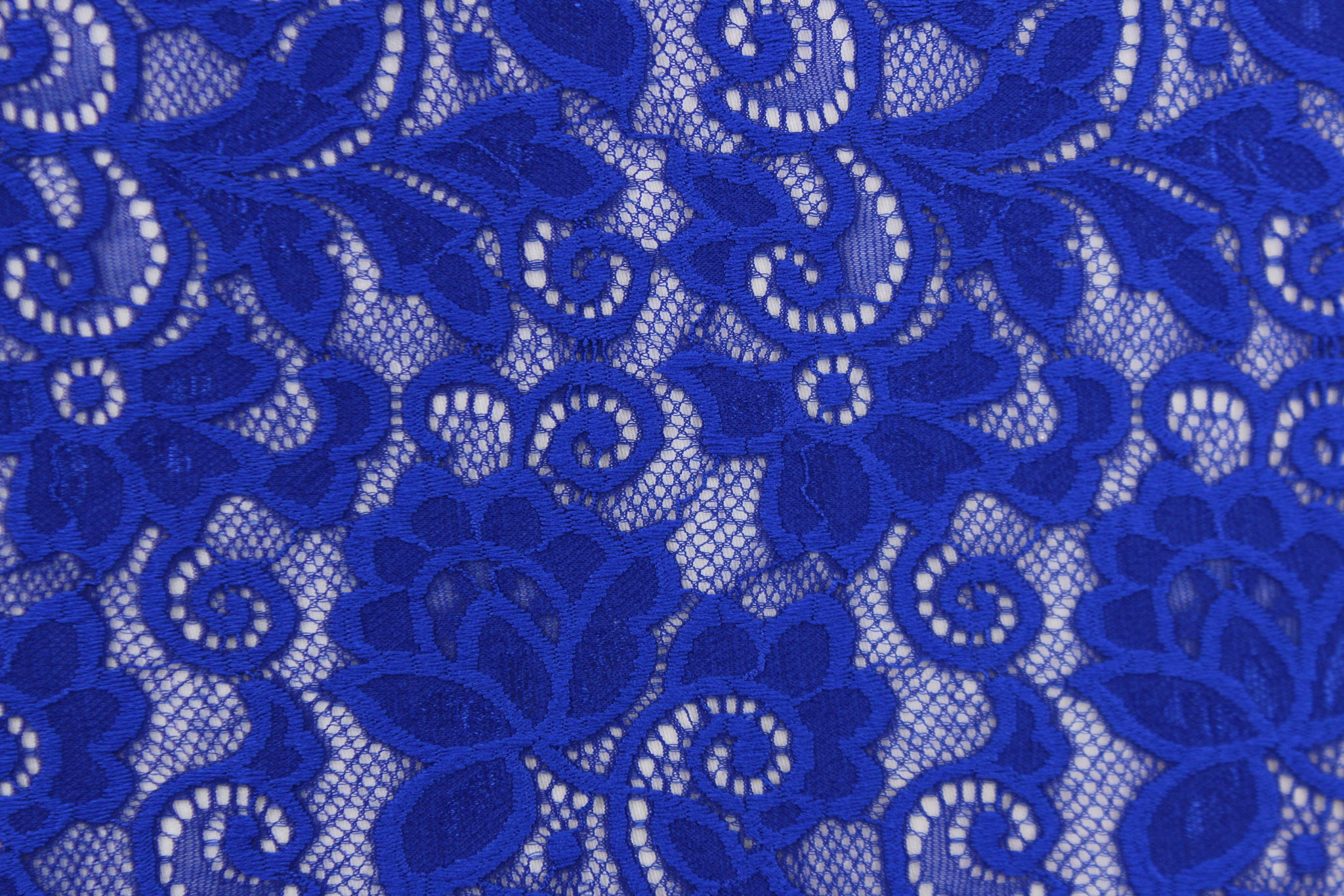 Lace Stretch in Royal Blue - All About Fabrics