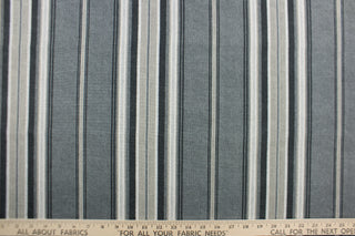This Solarium outdoor print features a striped design in black, gray, white and khaki.  This versatile , long-lasting fabric can withstand up to 500 hours of sunlight, water and stain resistant and has 10,000 double rubs.  It is perfect for lounge cushions, pool furniture, tablecloths, decorative pillows and upholstery projects.  Bring indoors when not in use. 