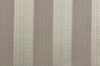 This stunning yarn dyed fabric features a  wide striped pattern in a slivery gray and taupe. 