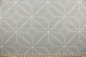Planx blends geometric shapes with a timelessly elegant white and platinum color palette.  Boasting a durability of 50,000 double rubs, this fabric is a dependable and stylish choice for any home.  It can be used for several different statement projects including window accents (drapery, curtains and swags), decorative pillows, hand bags, bed skirts, duvet covers, upholstery and craft projects.  