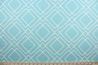  Jacava is a multi use fabric featuring a geometrical design in blue and white.  It can be used for several different statement projects including window accents (drapery, curtains and swags), decorative pillows, hand bags, bed skirts, duvet covers, upholstery and craft projects.  It has a soft workable feel yet is stable and has a durability rating of 15,000 double rubs.