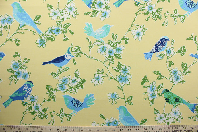 Tweet Toile is an outdoor fabric featuring various colored birds perched on flowering tree branches.  It is perfect for any project where the fabric will be exposed to the weather.  It is water repellant and can withstand 500 hours of direct sunlight.  Strong and durable with a rating of 22,000 double rubs. 