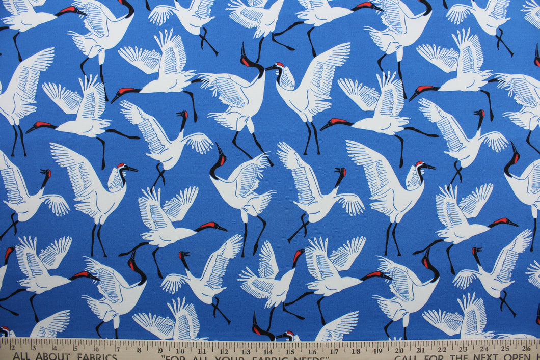 Black Cranes is a printed polyester outdoor fabric featuring a beautiful, bold cobalt blue background with white and black cranes.  The fabric is fade resistant, water repellant and provides up to 33,000 double rubs of wear-resistance, making it ideal for outdoor furniture and accessories.  Uses include cushions, tablecloths, upholstery projects, decorative pillows and craft projects. 