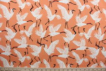Load image into Gallery viewer, Black Cranes is a printed polyester outdoor fabric featuring a beautiful, bold coral background with white and black cranes.  The fabric is fade resistant, water repellant and provides up to 33,000 double rubs of wear-resistance, making it ideal for outdoor furniture and accessories.  Uses include cushions, tablecloths, upholstery projects, decorative pillows and craft projects. 
