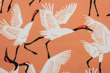 Load image into Gallery viewer, Black Cranes is a printed polyester outdoor fabric featuring a beautiful, bold coral background with white and black cranes.  The fabric is fade resistant, water repellant and provides up to 33,000 double rubs of wear-resistance, making it ideal for outdoor furniture and accessories.  Uses include cushions, tablecloths, upholstery projects, decorative pillows and craft projects. 
