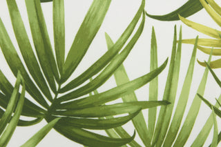 This fabric features large palm leaves in shades of green on a white background.  It can be used for several different statement projects including window accents (drapery, curtains and swags), toss pillows, bed skirts, light duty upholstery, handbags and duvet covers. It has a soft workable feel yet is stable and durable.  
