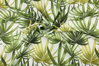 This fabric features large palm leaves in shades of green on a white background.  It can be used for several different statement projects including window accents (drapery, curtains and swags), toss pillows, bed skirts, light duty upholstery, handbags and duvet covers. It has a soft workable feel yet is stable and durable.  