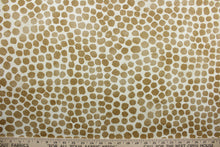 Load image into Gallery viewer, Puff Dotty is an indoor-and-outdoor upholstery fabric with a soil-and-stain repellant finish.  It features golden brown dots on a cream background, screen printed for lasting quality and beauty.  With 51,000 double rubs, it stands up to frequent use, making it great for throw pillows, chair cushions, table top accessories, tote bags, and more.

