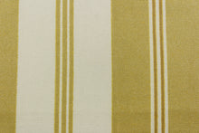 Load image into Gallery viewer, This formal  Chintz fabric features a gold stripes with a cream background  

