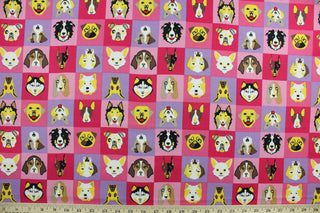  This fabric features various dog faces against a checkered background. The versatile lightweight fabric is soft and easy to sew.  It would be great for quilting, crafting and sewing projects.  Colors included are black, brown, yellow, white, azalea, pink and purple.   