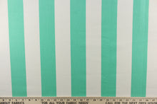 Load image into Gallery viewer,   This outdoor fabric features a wide stripe design in white and light green.

