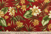 Load image into Gallery viewer, This Solarium outdoor print features a large tropical floral design in green and beige on a dark red background. This versatile, long-lasting fabric can withstand up to 500 hours of sunlight, water and stain resistant and has 10,000 double rubs.  It is perfect for lounge cushions, pool furniture, tablecloths, decorative pillows and upholstery projects.  This fabric has a slightly stiff feel but is easy to work with.  
