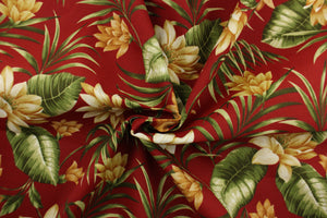 This Solarium outdoor print features a large tropical floral design in green and beige on a dark red background. This versatile, long-lasting fabric can withstand up to 500 hours of sunlight, water and stain resistant and has 10,000 double rubs.  It is perfect for lounge cushions, pool furniture, tablecloths, decorative pillows and upholstery projects.  This fabric has a slightly stiff feel but is easy to work with.  